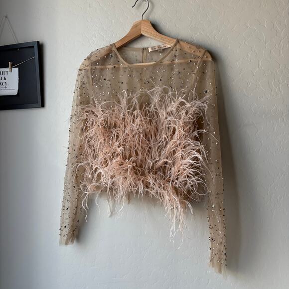 RÊVE RICHE Jasmina Feather Embellished Dusty Rose Sheer Long Sleeve Top Size 42 - Picture 3 of 11
